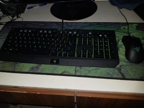 מיקלדת ואחבר  razer
