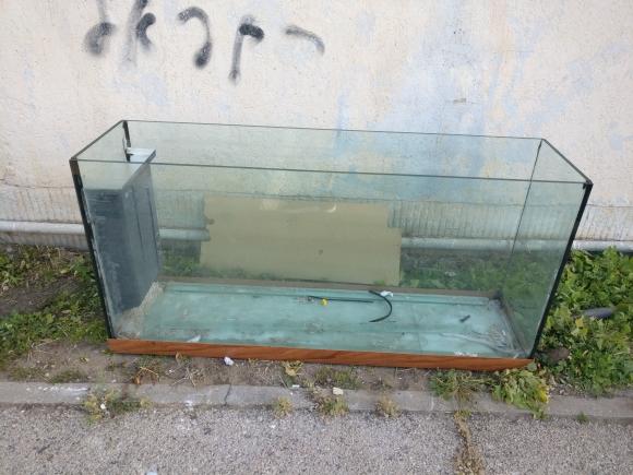 אקווריום 