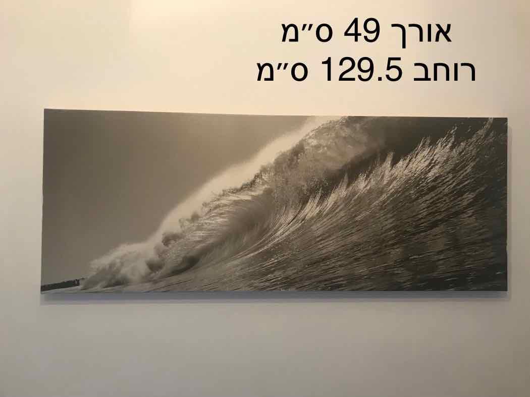 תמונת קנבס