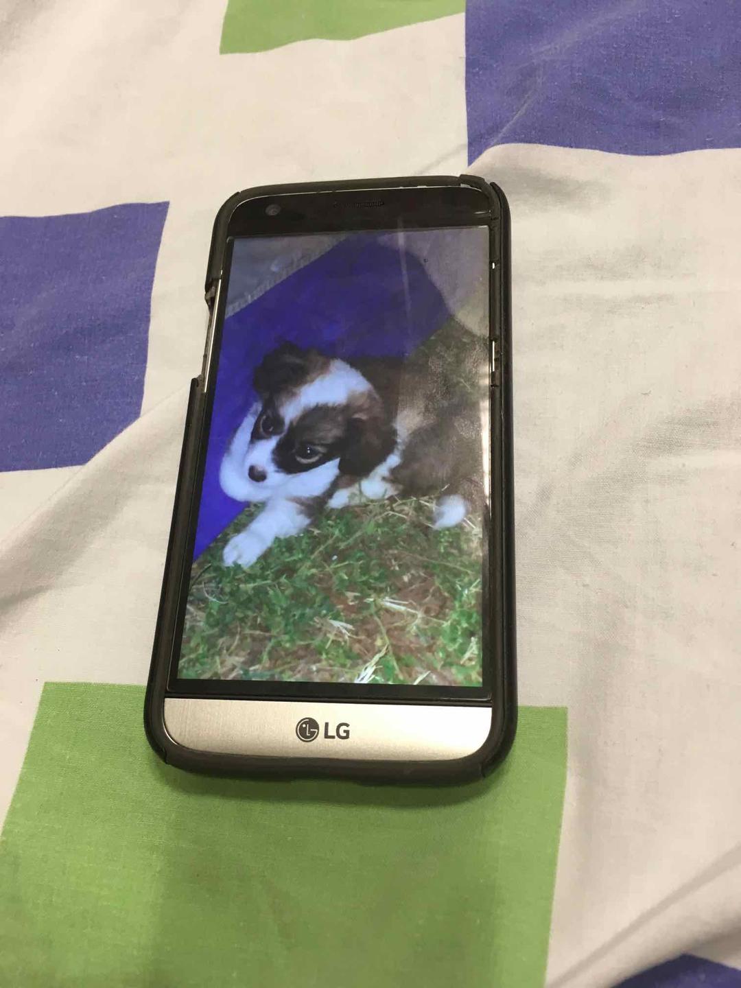 סלולאר נייד LG