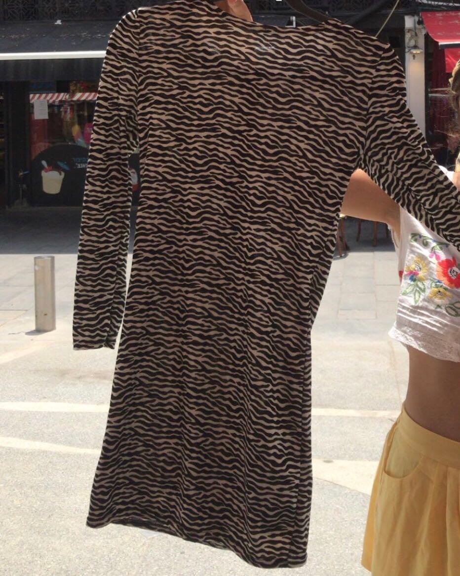 Zebra dress 
