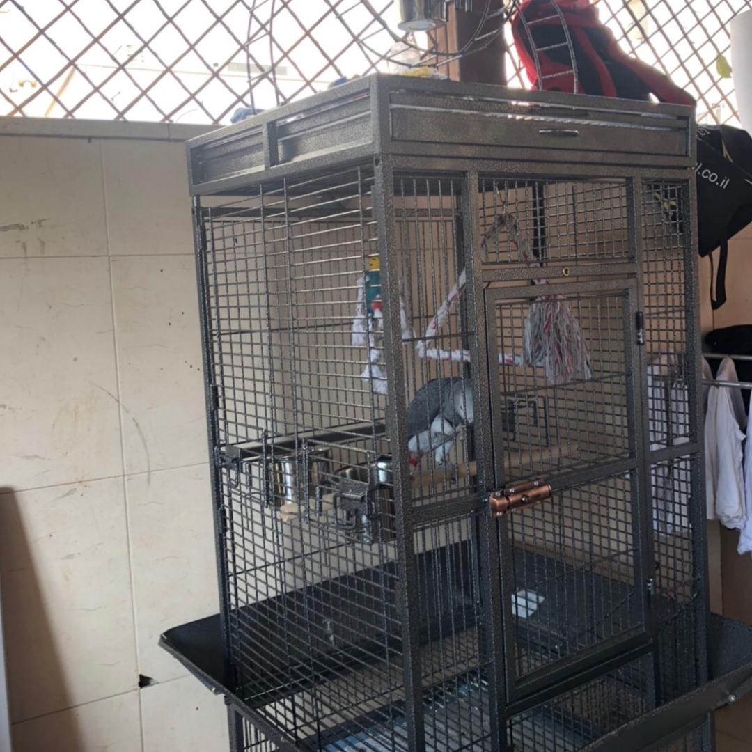 כלוב גדול ומפואר חדש 700₪ גמיש