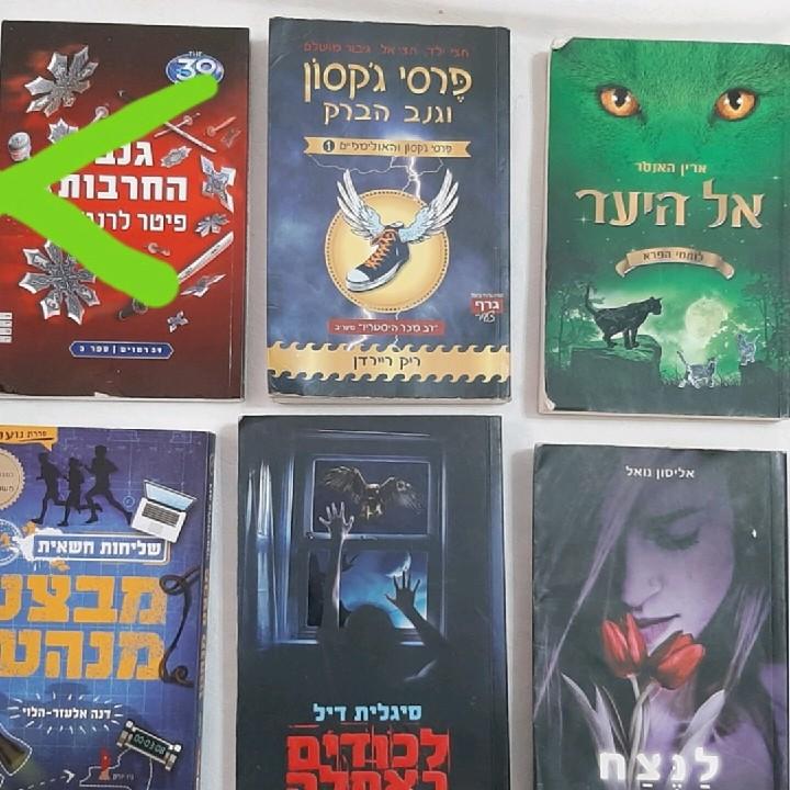 ספרים לנוער , מחיר לספר