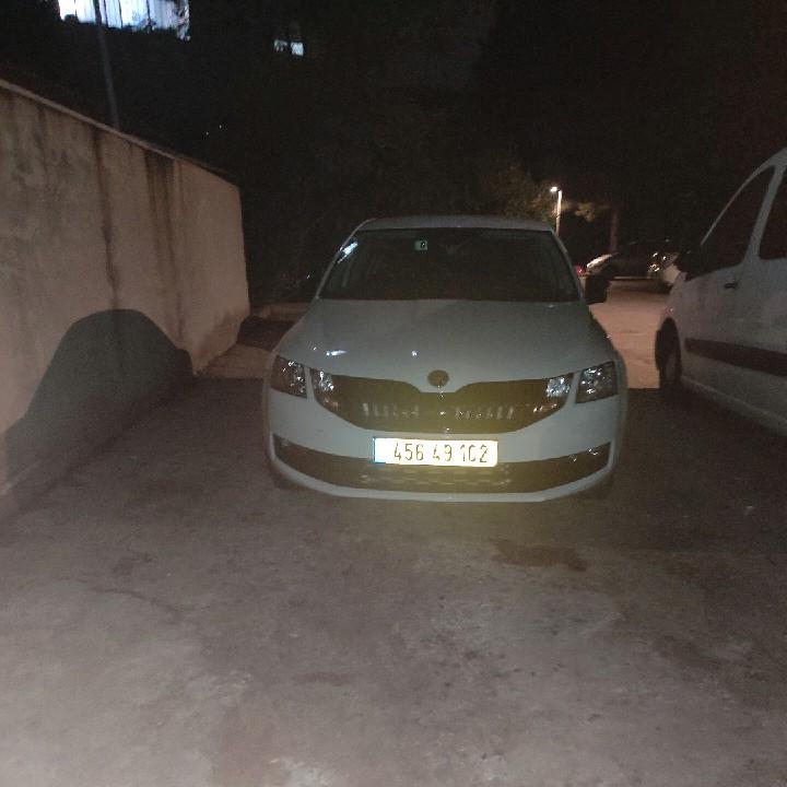 סקודה 2018 יד 3