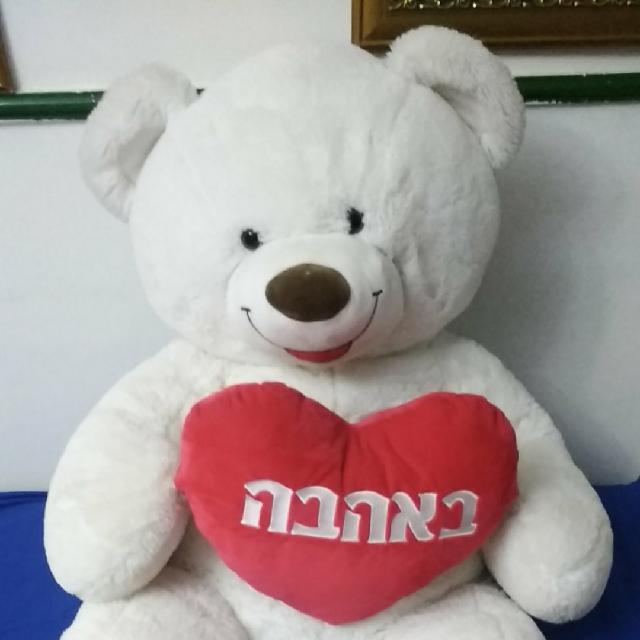 דובי גדול וחמוד