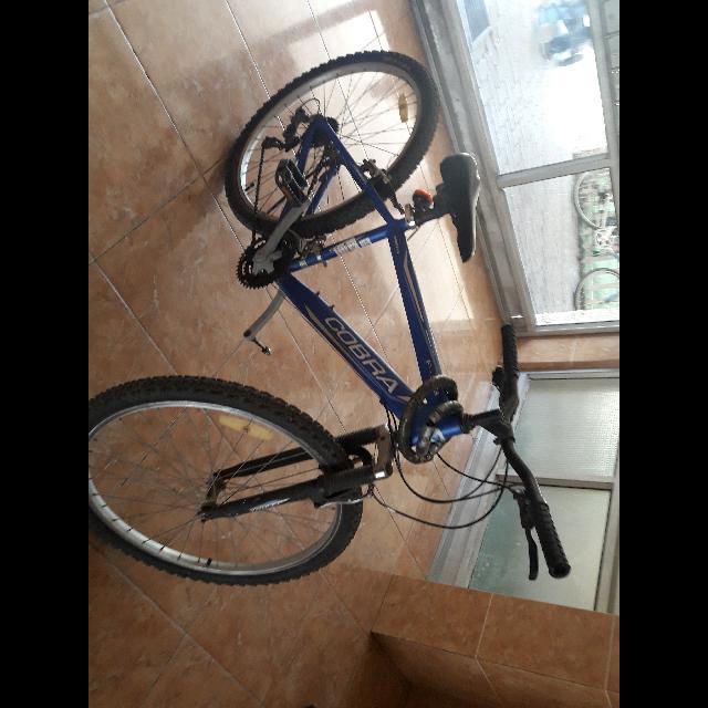 אופני הרים COBRA חסר פדל אבל הם במצב מצוין 