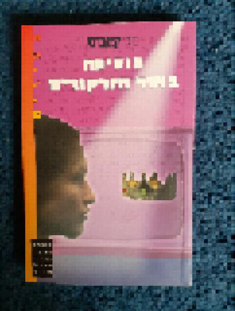 יומני הנסיכה