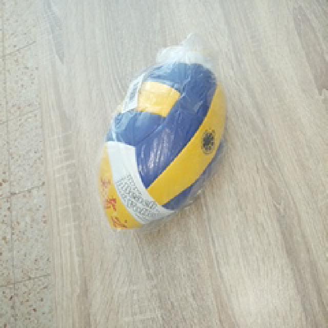 כדורעף חופים